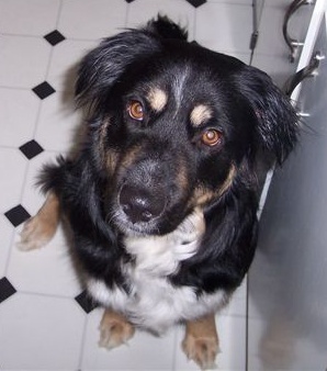 Who wouldn't love Lucy?