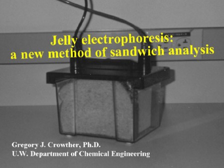 jelly electrophoresis