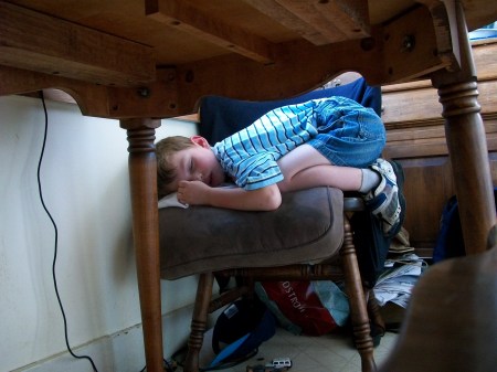 asleep in the kitchen