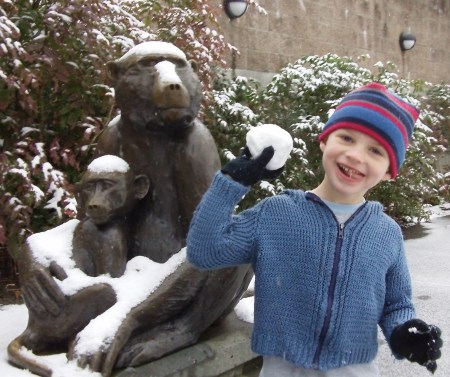 monkeying around at the zoo