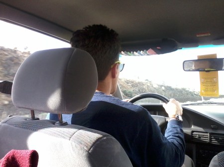 the view from the carseat