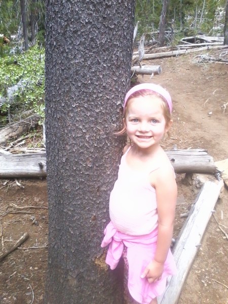 tree hugger