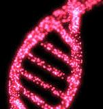 logo for The Sequence