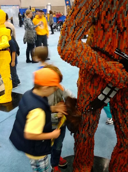 IMG_20131012_162409_chewy