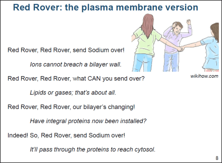 Red Rover: the nano version