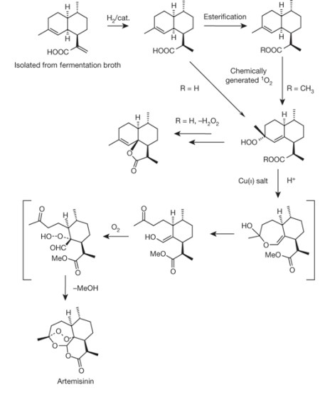 Artesinin synthesis, part 2