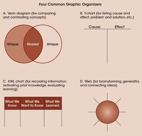 graphic organizers