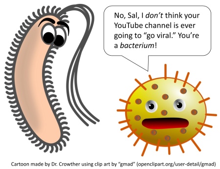 viruses versus bacteria