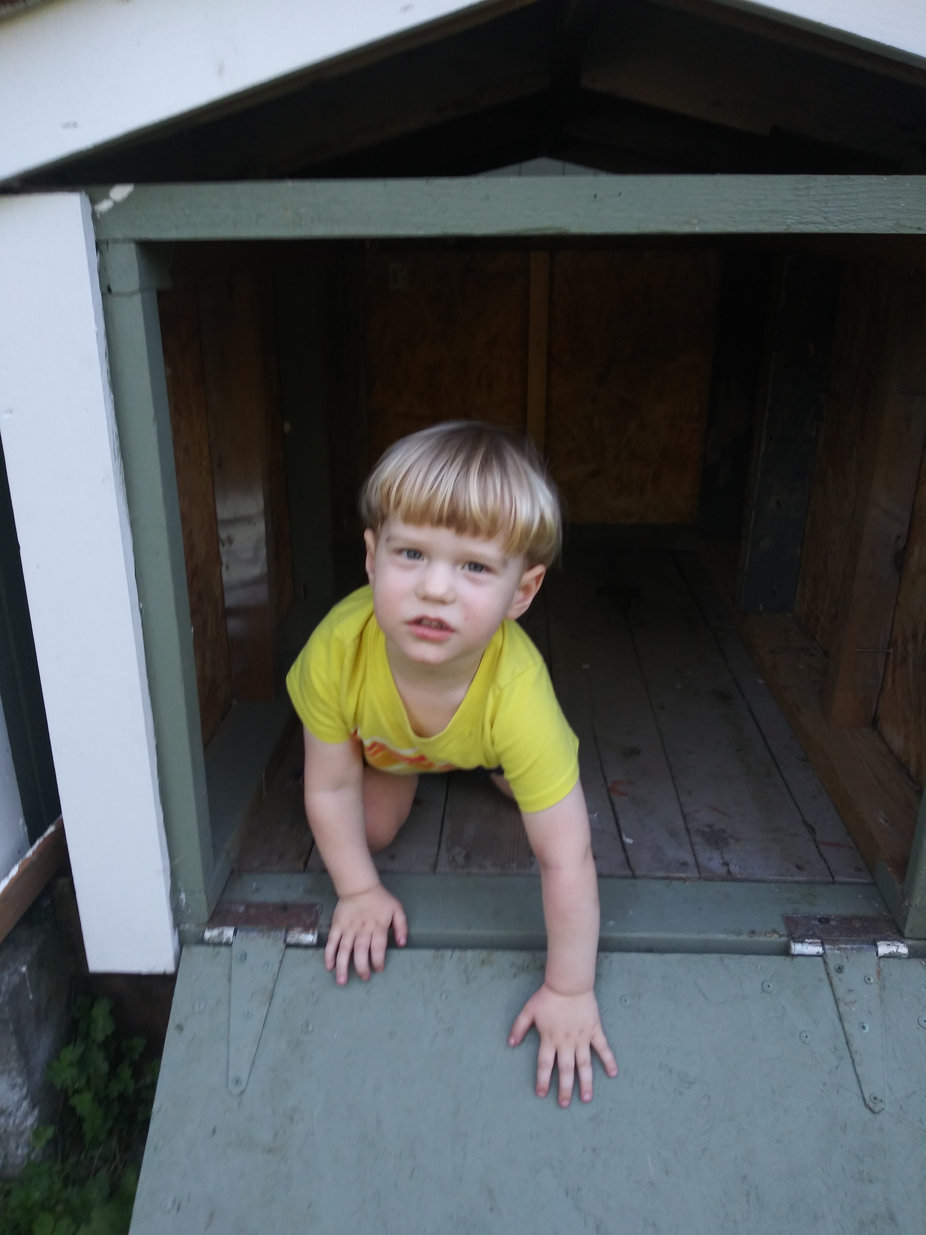 2019-07-29_Sam_tiny_house